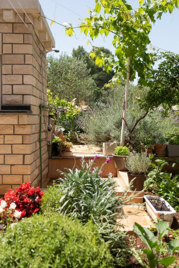 Apartmani "Zuka" Korčula Екстериор снимка